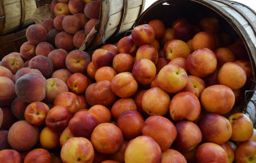 Torrance Farmers Market