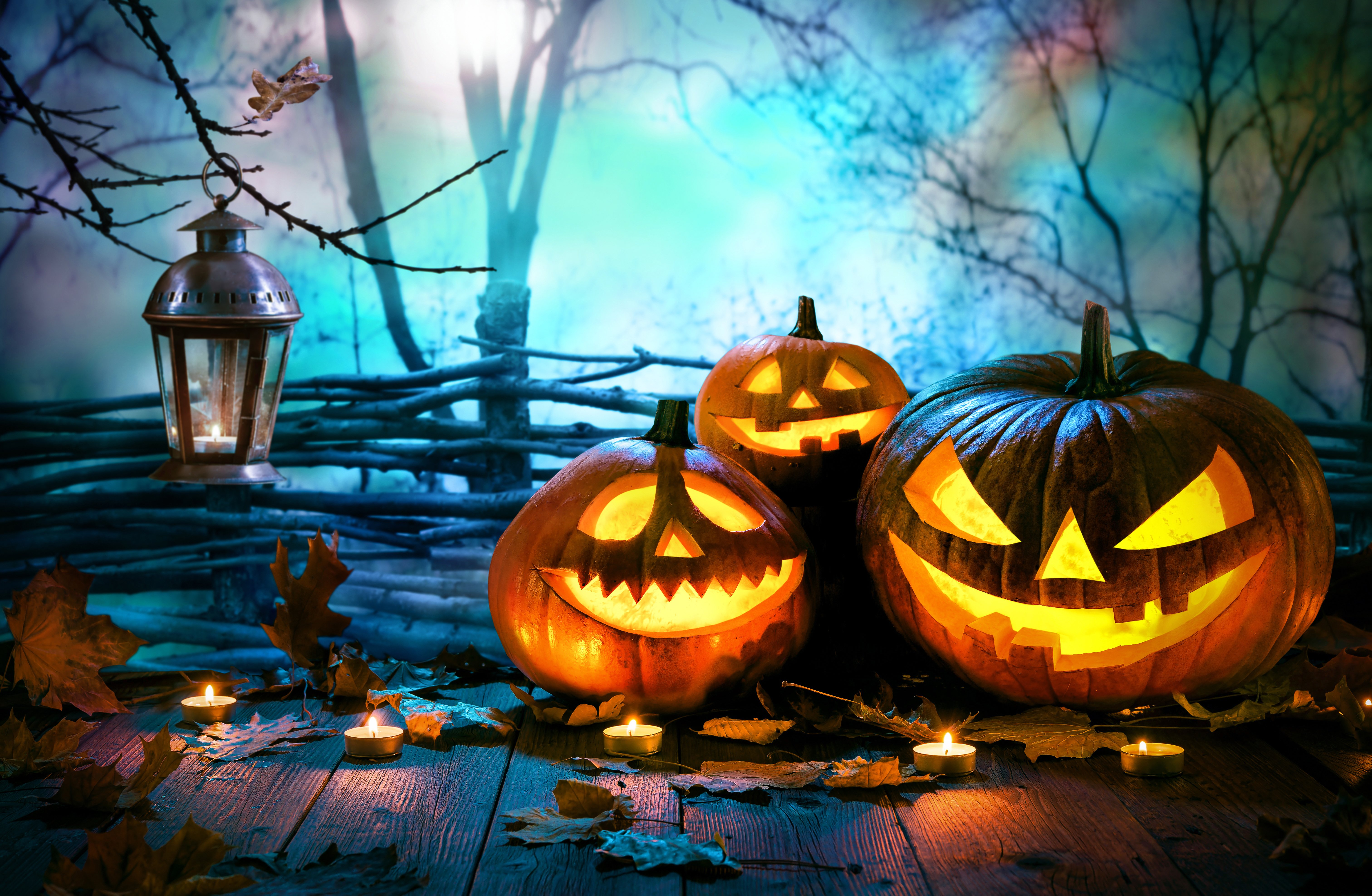 halloween virtual backgrounds for zoom