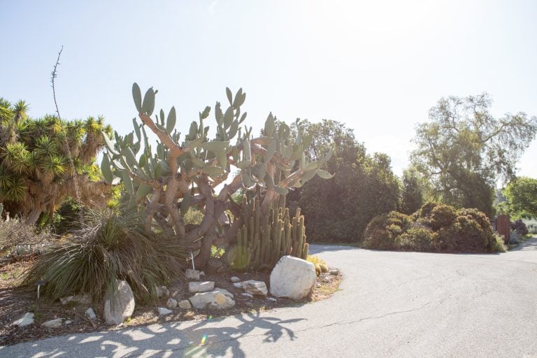 LA Galaxy Soccer Center Torrance Discover Torrance