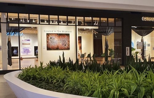 Cansu Art Gallery
