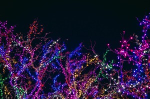 Sleepy Hollow Christmas Lights - Discover Torrance