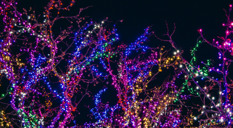 Sleepy Hollow Christmas Lights