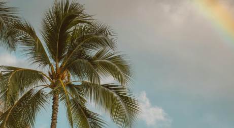 King's Hawaiian Christmas Eve Buffet