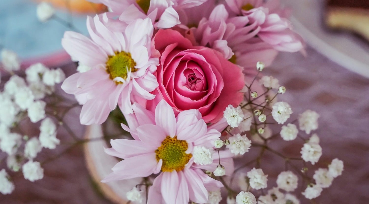 pink flowers