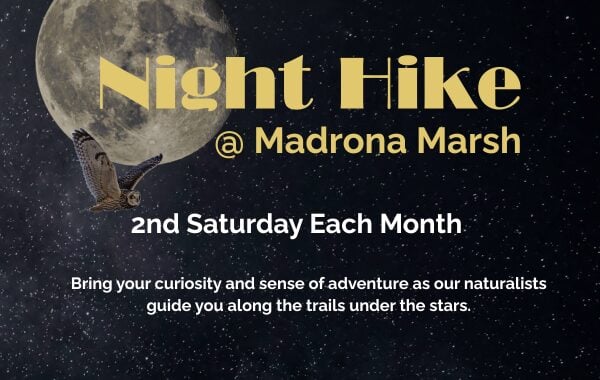 Madrona Marsh Night Hike